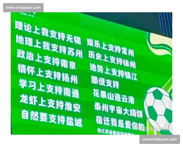 双轮驱动：苏超如何用政府协同与专业运营撬动流量爆炸